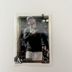 Austin Wynns GOLDEN MIRROR IMAGE