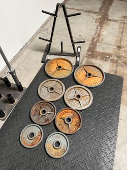 Olympic Weights with Stand