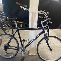 🚲 Giant Aluminum Bike – $30 