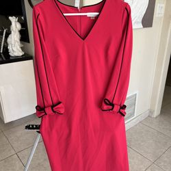 Deep Pink Dress Size 8