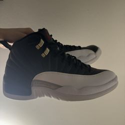 Jordan 12 Playoff