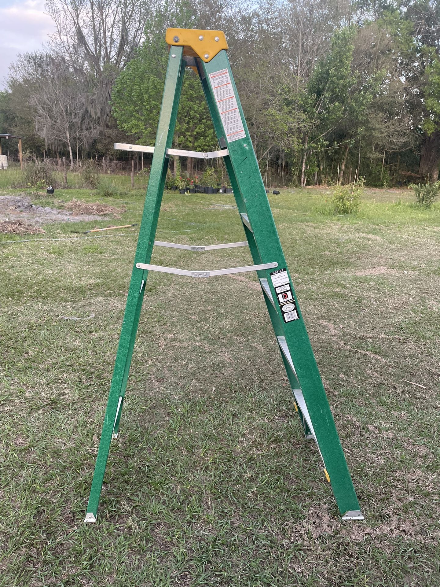 6 foot ladder