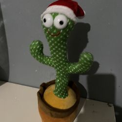 Dancing Cactus 🌵 