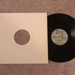 Vinyl Record 12inch 