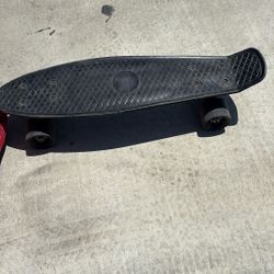 Used Mini Cruiser Skateboard – Fully Functional, Worn Appearance