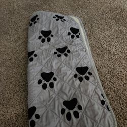 Pet Potty Pad 