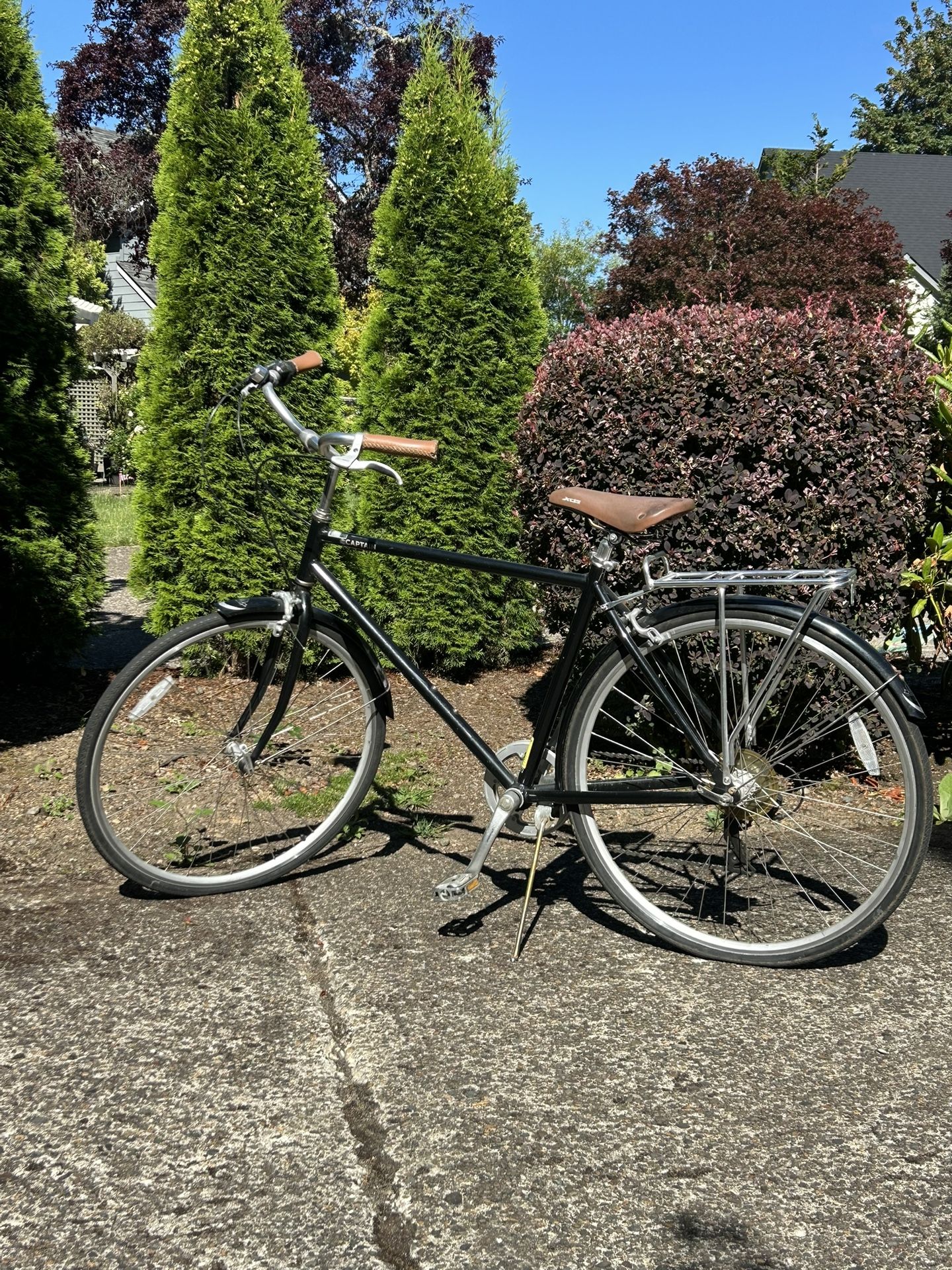 Adult Bicycle For Sale