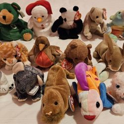 Beanie  Babies 