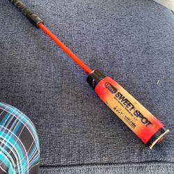 Youth, baseball training, bat