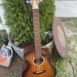 12 String D Angelico