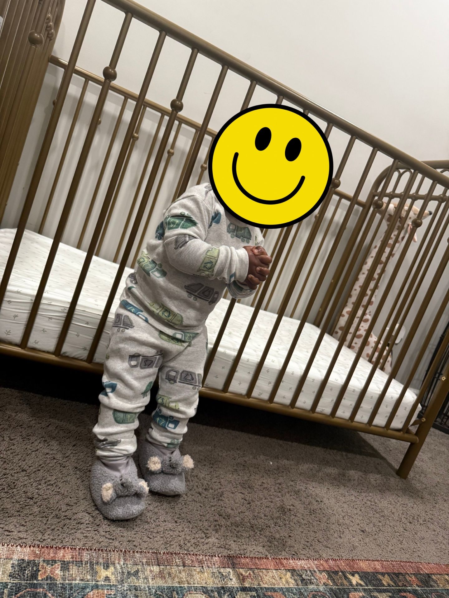 Gently Used Gold Crib (Wayfair)