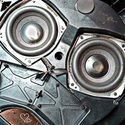 Bose Trunk Spare Tire Sub Woofer