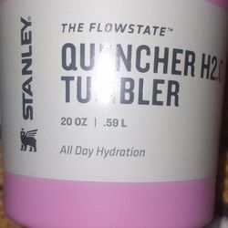 Stanley 20oz
