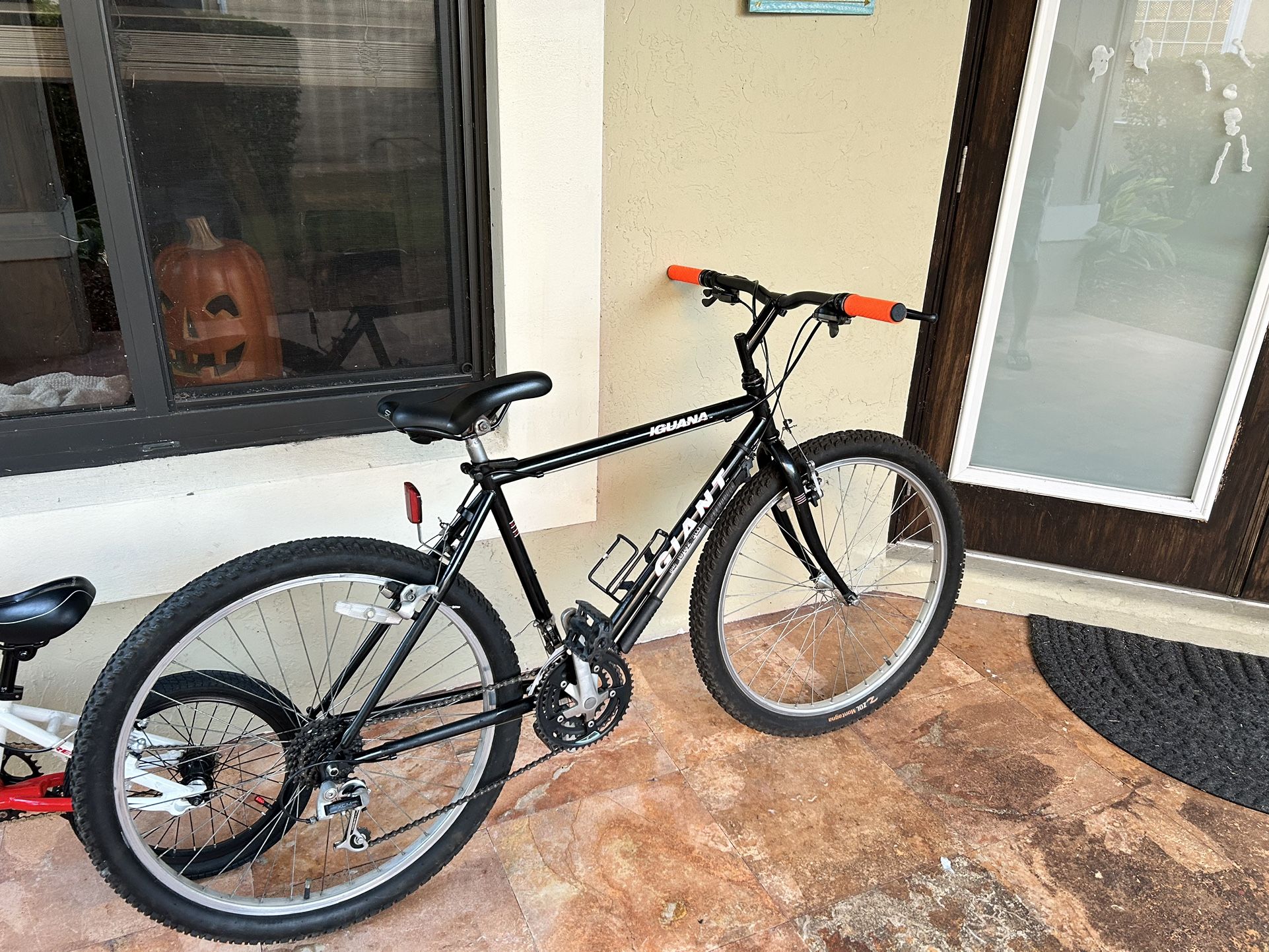 Giant iguana shop selling disc mountain bike
