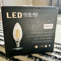 6 Pack LED Edison Light Bulbs