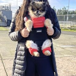Pet Carrier Backpack 