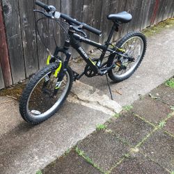 20 Boy Bike 