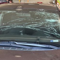 New Windshield 