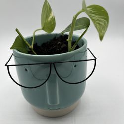 Green Face With Glasses Pot With Live Plant