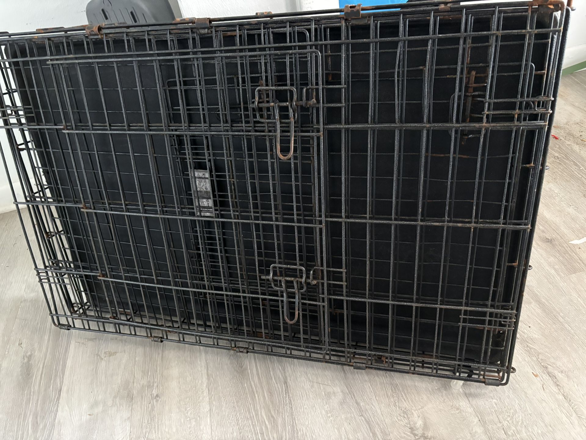 Dog Cage