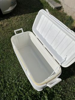 igloo 120 q cooler