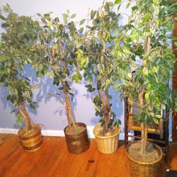 4 Artificial Trees Take All