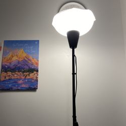 Floor Lamp