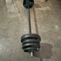 50lbs Curl Bar 