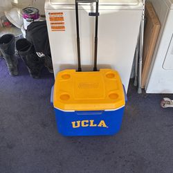 Ice Chest