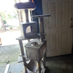 Cat Play Ground 