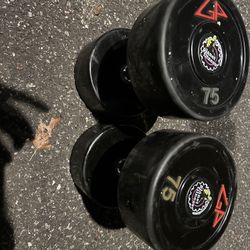 Set Of 75LB Dumbbells 