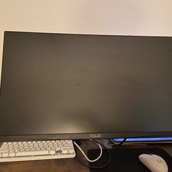 Asus Monitor