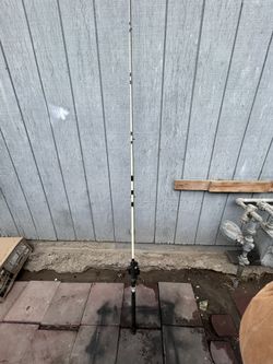 Fishing rod and Reel