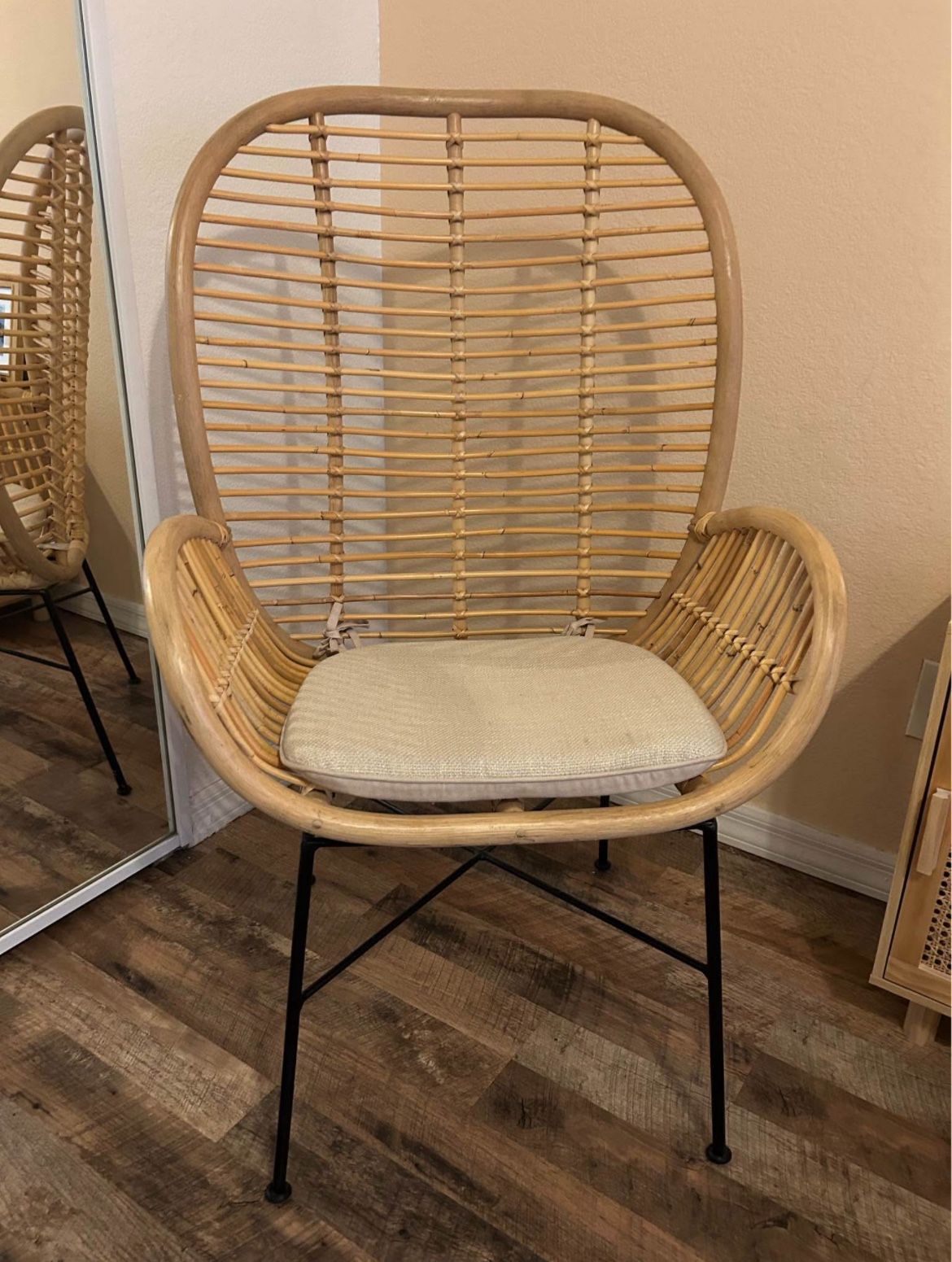 Rattan Chair & Cushion