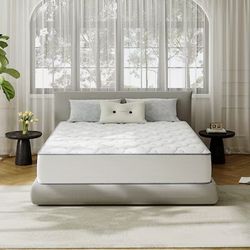 10-in Medium Twin extra long Hybrid Memory Foam/Coil Blend Mattress in a Box 