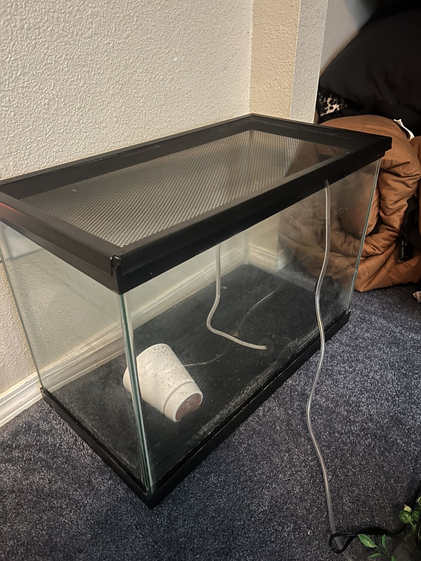 20 Gallon Fish/axolotl/reptile