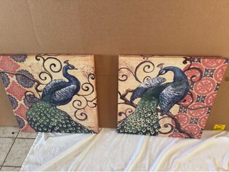 Two beautiful peacocks pictures