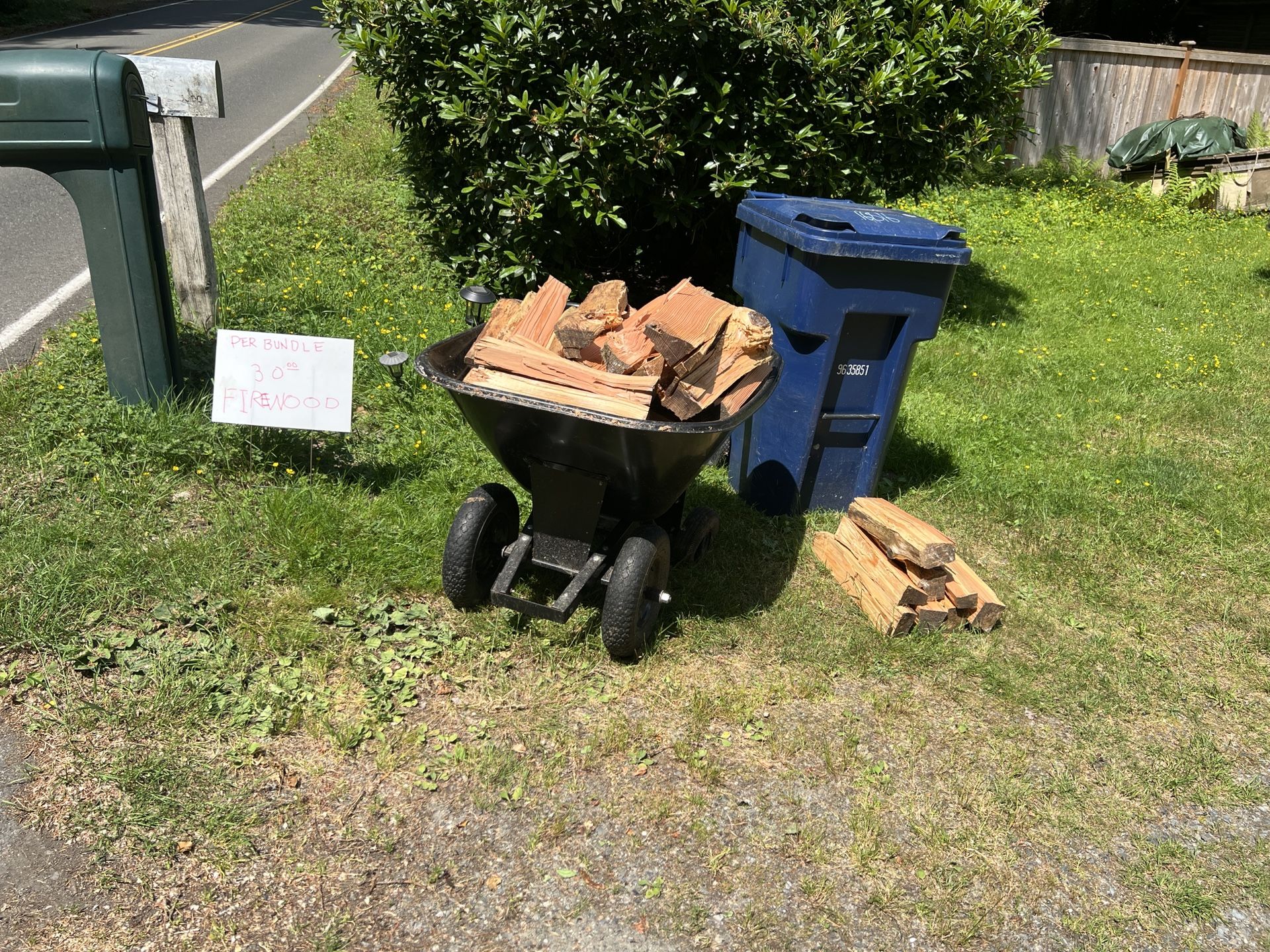 Seasoned firewood