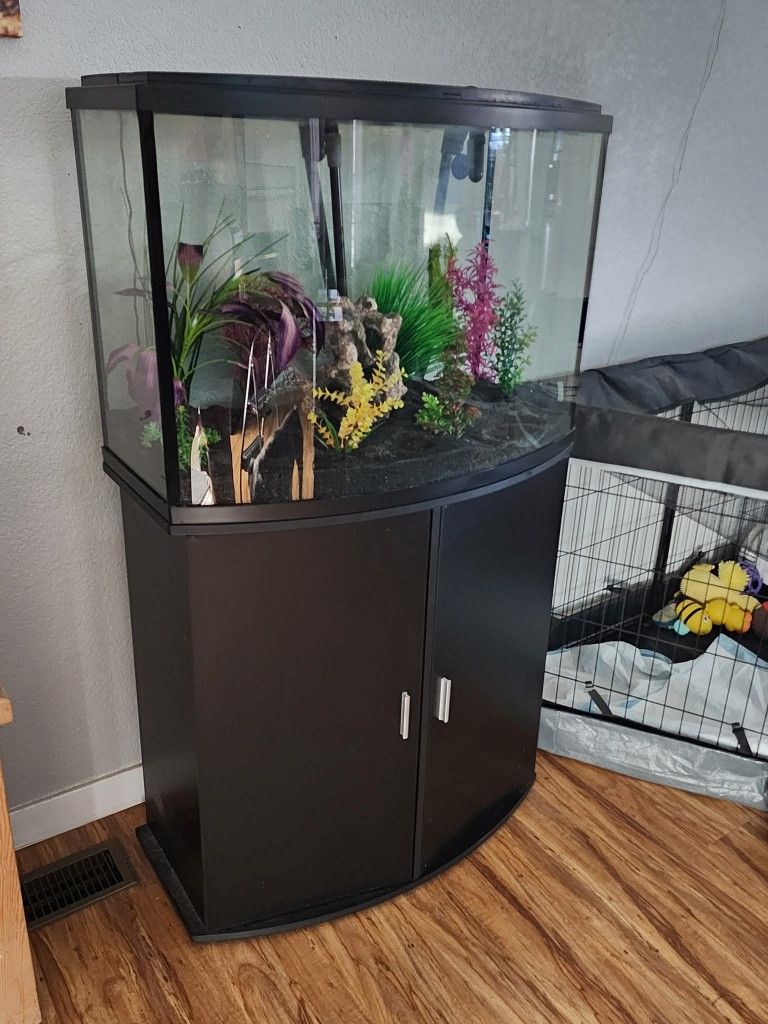 Fish Tank With Stand 