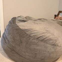 Bean Bag - Full Size Convertible (Barely Used) 