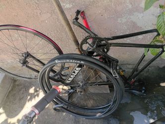 Fixie bike