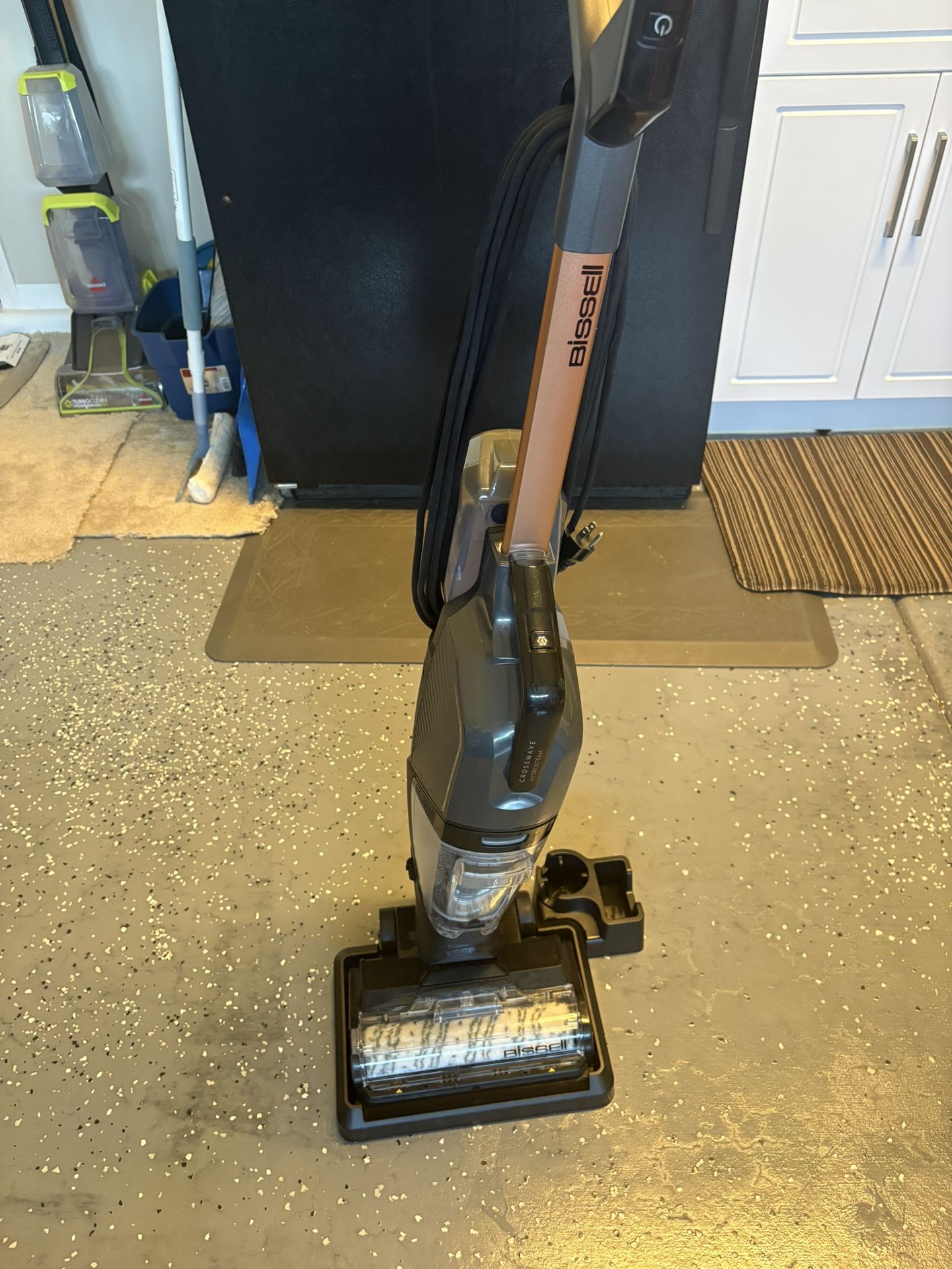 Biselle CrossWave Hydrosteam