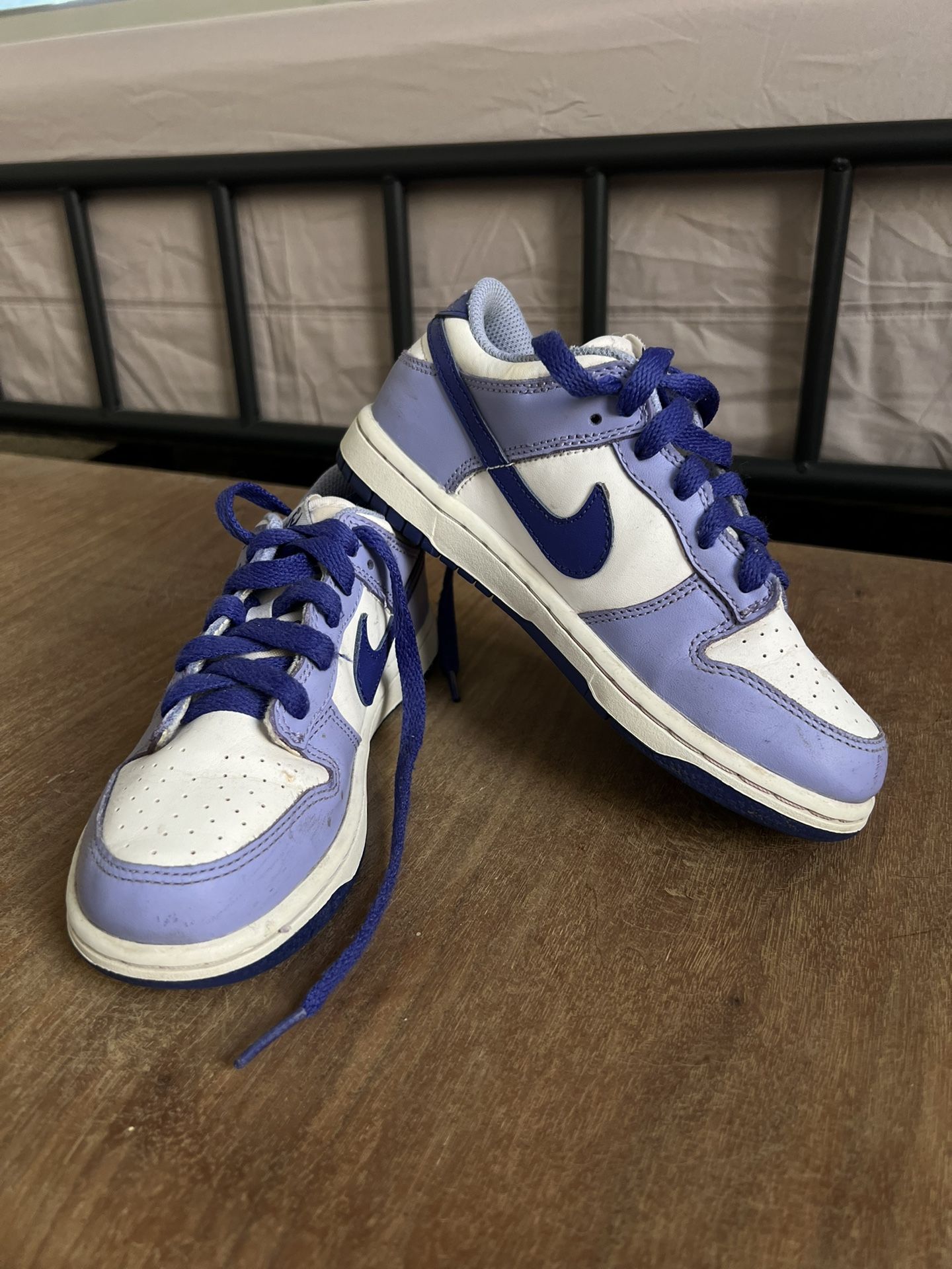 Kids Nike Dunks