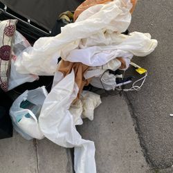 GIANT SAINT BERNARD INFLATABLE 