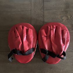 Boxing pads for training