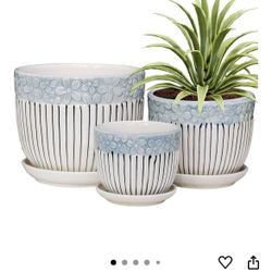 Plant Pots  