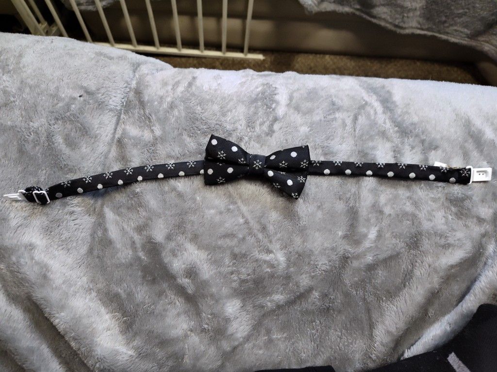 Small Bow Tie