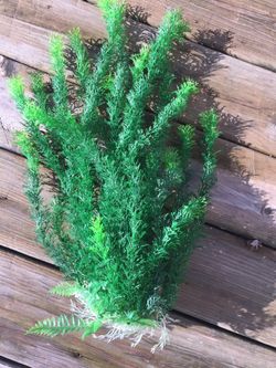 Fake Fish Tank Aquarium Foliage 20 in