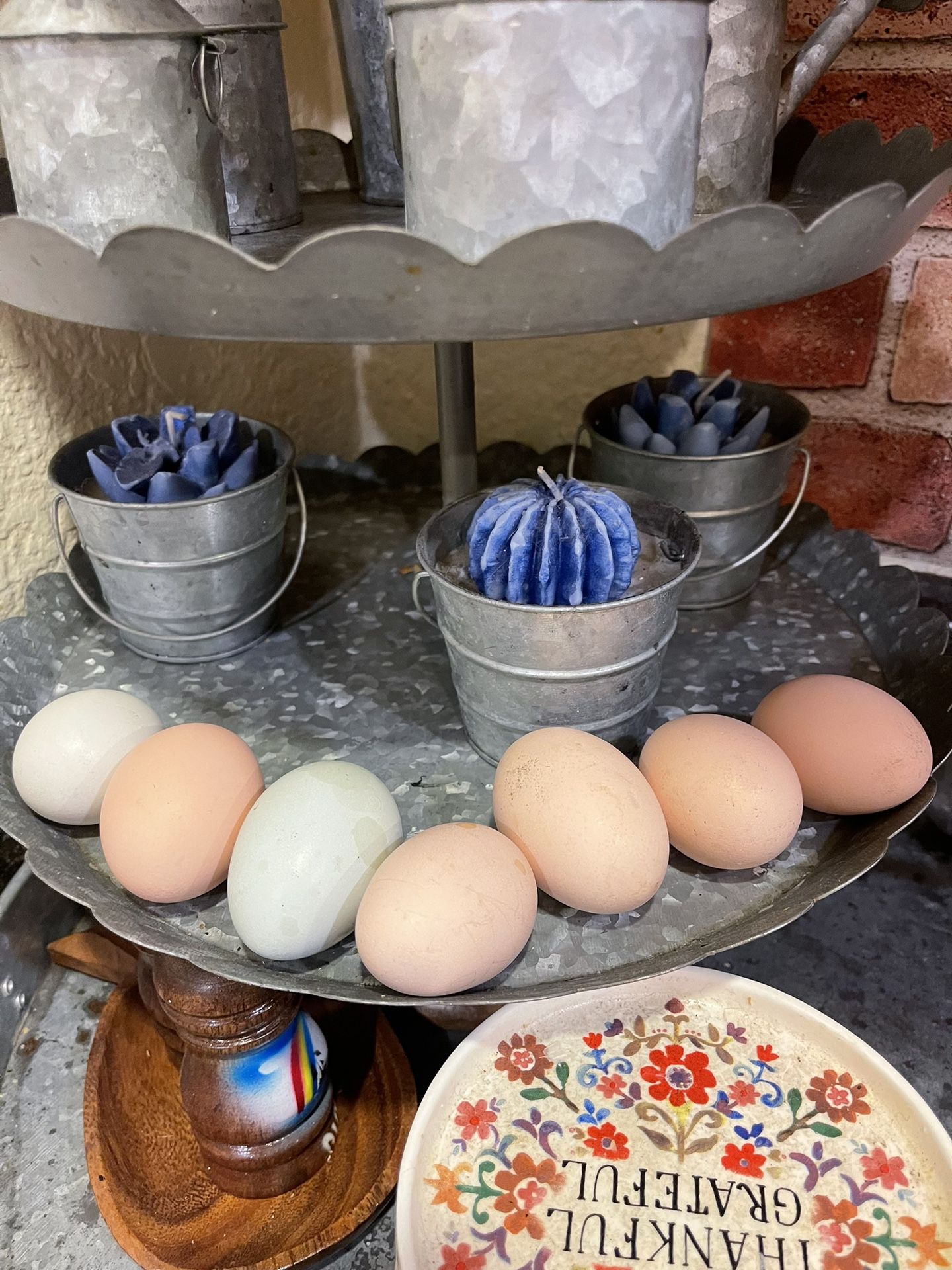 Eggs For Sale