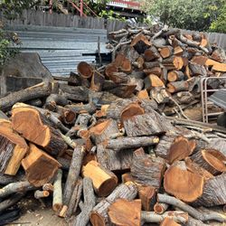 Oak Wood Fire Wood 